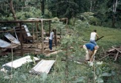 Removal the illegal squatters' shacks, c. 1986.jpg